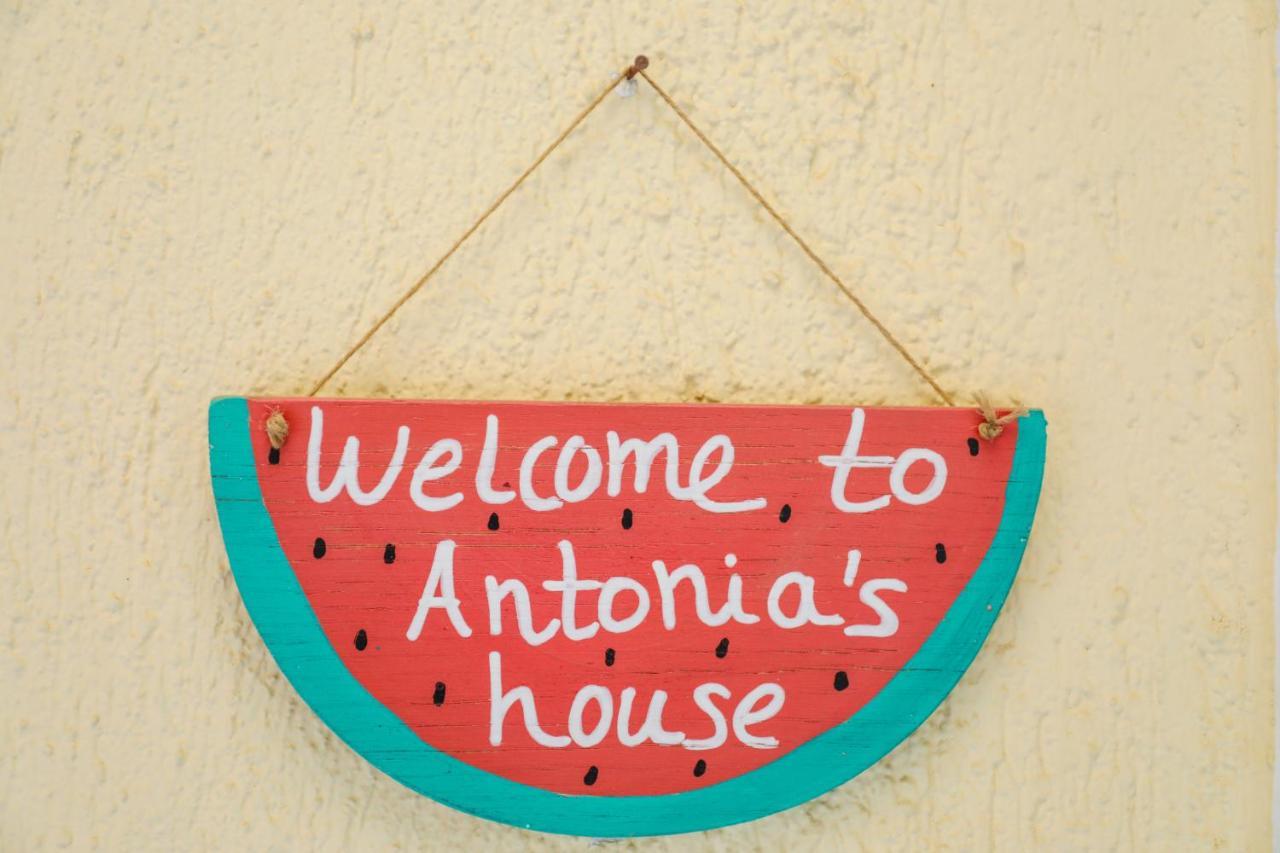 스키아토스 타운 Antonia House 아파트 외부 사진